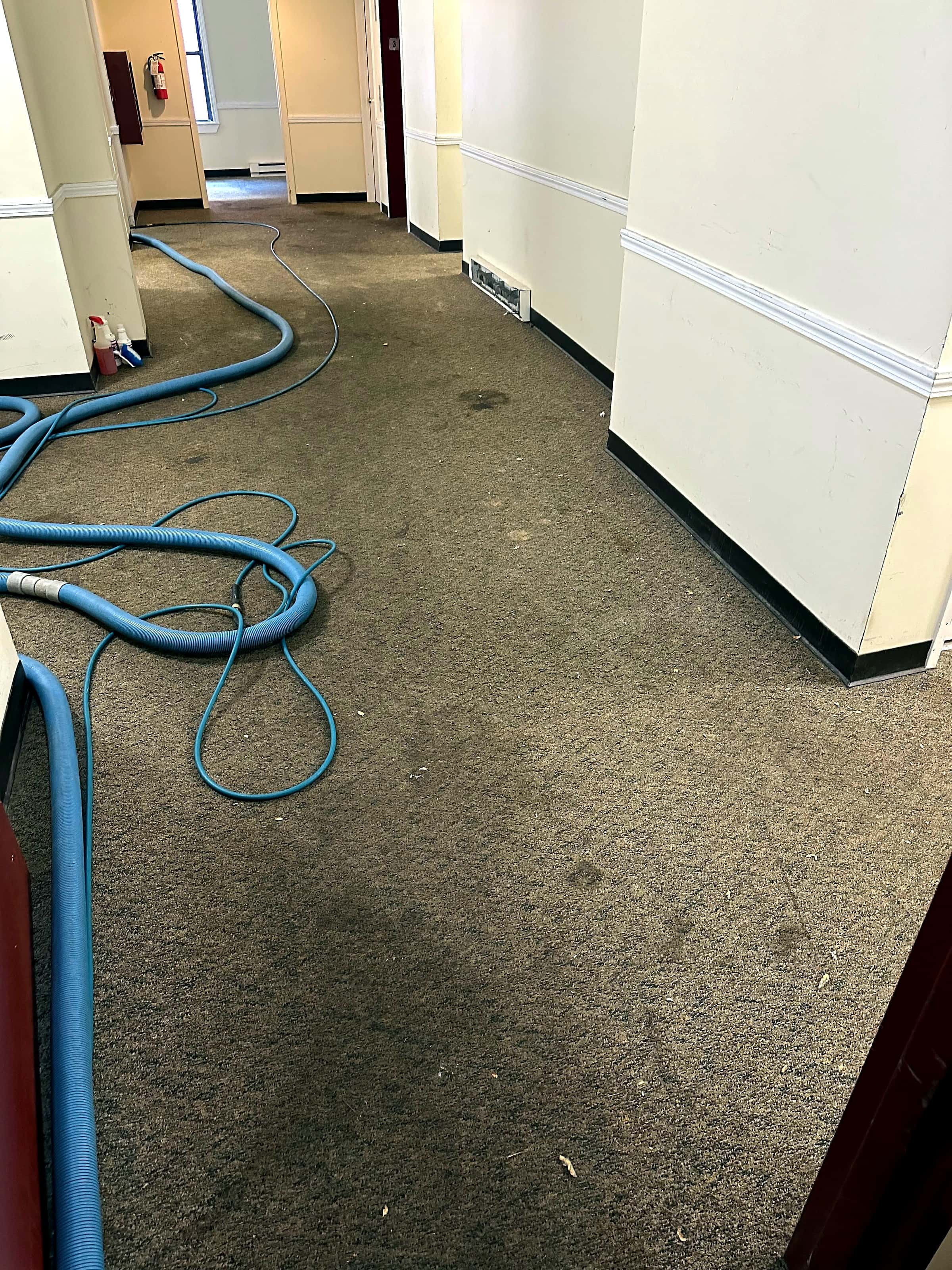 Extraction hoses laid across a carpeted corridor during water removal.